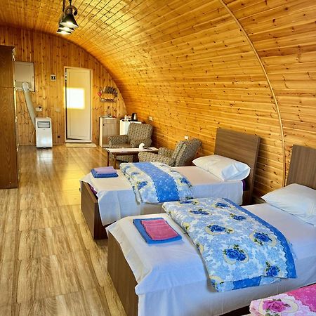Guest House Amo Κουτάισι Εξωτερικό φωτογραφία